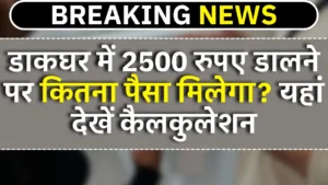 Aata Chakki Business