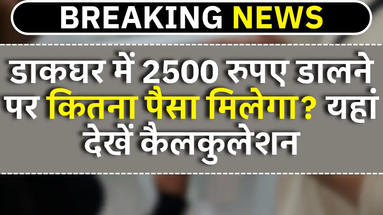 Aata Chakki Business