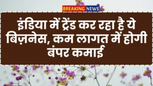 Mushroom Kheti Business