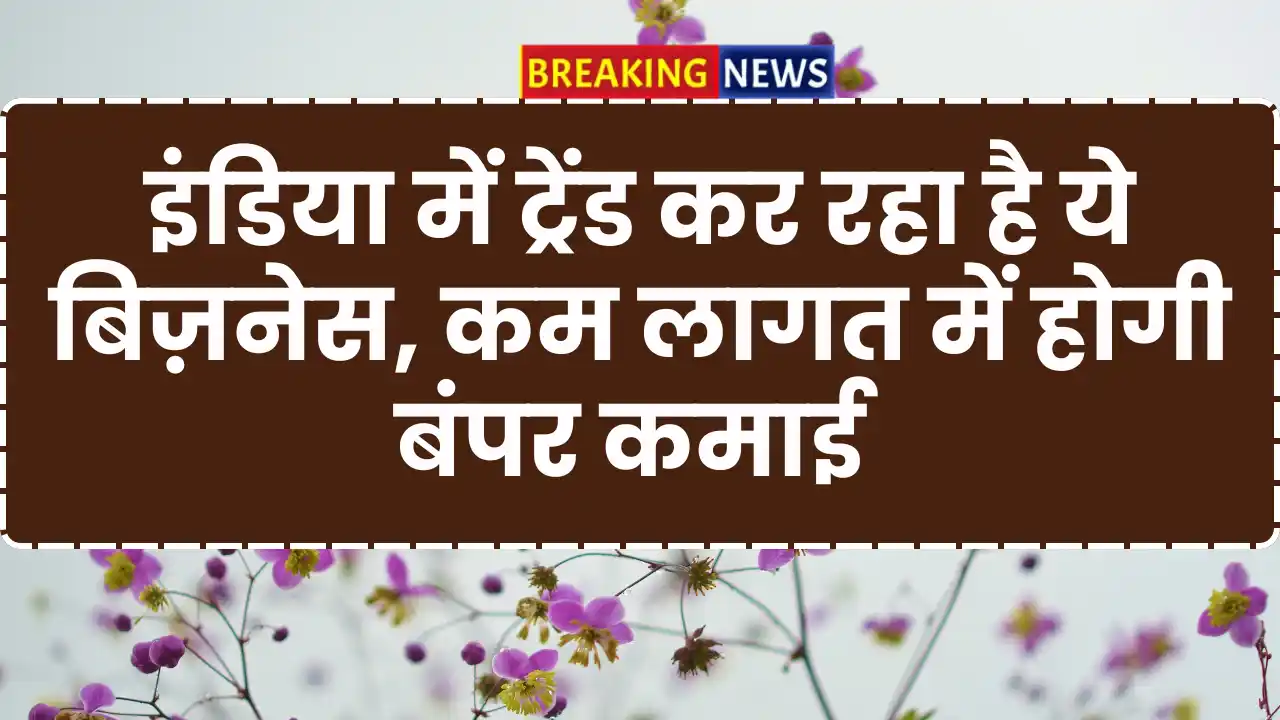 Mushroom Kheti Business